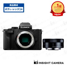 パナソニック LUMIX DC-G100D ボディ ブラック + 標準ズームレンズセット LUMIX G VARIO 12-32mm/F3.5-5.6 ブラック ルミックス Panasonic（出荷後転送不可）