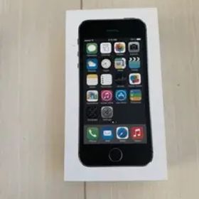 iPhone 5s Silver