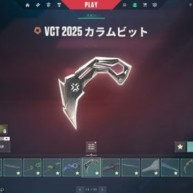 引退垢 廃課金 初期メアド譲渡可能 取り返し100%無し 限定ほぼコンプ | VALORANT(ヴァロラント)のアカウントデータ、RMTの販売・買取一覧