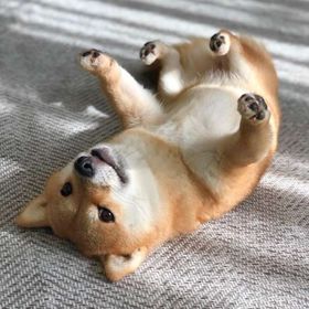 完全ソロ代行・下げラン受付中 | VALORANT(ヴァロラント)の代行、RMTの販売・買取一覧