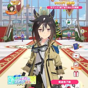 引退 サポカ完凸は5種 ステゴあり ジュエル57000 | ウマ娘のアカウントデータ、RMTの販売・買取一覧