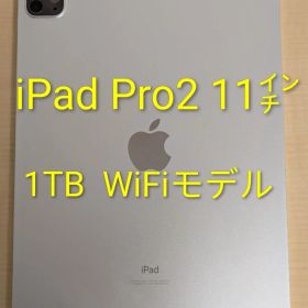 iPad Pro 11インチ 第2世代 Wi-Fiモデル 1TB 本体のみ