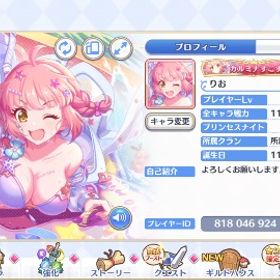 辞めようと思います | プリンセスコネクト(プリコネR)のアカウントデータ、RMTの販売・買取一覧