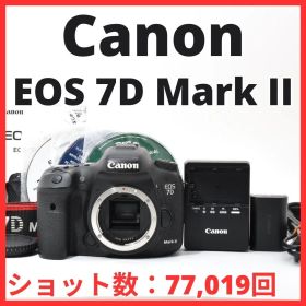 L11[7126]38★美品★ キヤノン Canon EOS 7D Mark II ボディ 【ショット数 77,019回】
