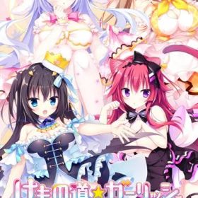 在庫あり【新品】【NS】けもの道 ガーリッシュスクエア【ネコポス送料無料】