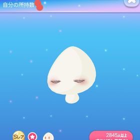 ～最安値～ SR* パレッティクローズアイ | ポケコロのアイテム、RMTの販売・買取一覧