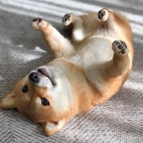 💎完全ソロ💎代行・下げラン・同行 | VALORANT(ヴァロラント)の代行、RMTの販売・買取一覧