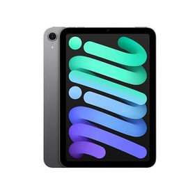 Apple iPad mini 8.3インチ Wi-Fi 128GB 2024年秋モデル MXN63J/A スペースグレイ