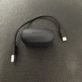 SONYワイヤレスイヤホン黒 Link Buds S、USBケーブル付属【中古】