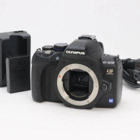 A+ (美品) OLYMPUS オリンパス E-620 ボディ シャッター回数3456 初期不良返品対応 111-276