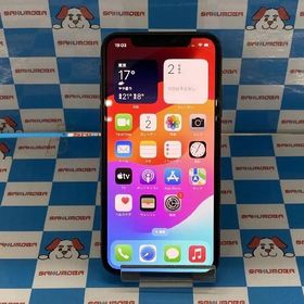 iPhoneXS docomo版SIMフリー 256GB MTE02J/A A2098 極美品