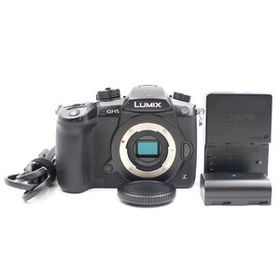 シャッター数12187枚 PANASONIC GH5S ボディ ブラック DC-GH5S-K ミラーレス一眼カメラ パナソニック
