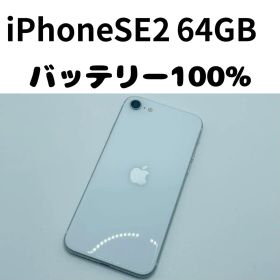 【格安美品】iPhone SE2 64GB simフリー本体 313