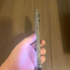 y*l様 Apple iPhone 13 Pro max 256GB