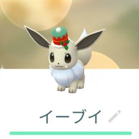 色違いホリデーイーブイ トレード | ポケモンGOのアカウントデータ、RMTの販売・買取一覧