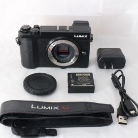 ☆美品・ショット数1109☆ Panasonic LUMIX GX7 Mark III パナソニック ミラーレス ルミックス GX7MK3 ボディ ブラック DC-GX7MK3-K #4440