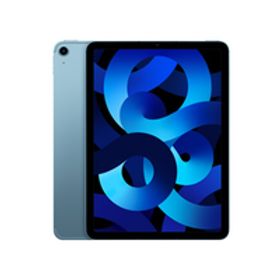 Bランク 第5世代 iPad Air5 256GB スペースグレイ SIMフリー