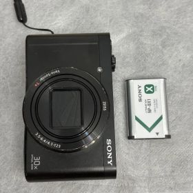 SONY DSC-WX500 11223