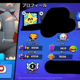 引退‼️プロ垢‼️ | ブロスタ(ブロウルスターズ)のアカウントデータ、RMTの販売・買取一覧