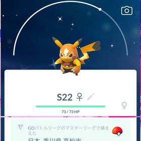 《非対面トレード》🌟 色違い マスクドピカチュウ︎︎ 国産 ♀ ‼️ | ポケモンGOのアカウントデータ、RMTの販売・買取一覧