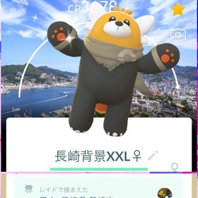 《非対面トレード》🐾 長崎背景色違いキテルグマ XXL ︎︎♀ サファリボール入り‼️ | ポケモンGOのアカウントデータ、RMTの販売・買取一覧