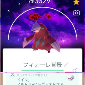 《非対面トレード》⭐️ フィナーレ背景色違いダイマックスドリュウズ ‼️ | ポケモンGOのアカウントデータ、RMTの販売・買取一覧