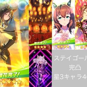 ステイゴールド完凸 星3以上キャラ46石60700 未連携 誕生日未設定 初期アカウント | ウマ娘のアカウントデータ、RMTの販売・買取一覧