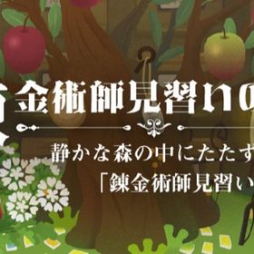 廃盤【錬金術師見習いの小屋】※バラ売り | リヴリーアイランドのアイテム、RMTの販売・買取一覧