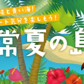 廃盤【常夏の島】※バラ売り | リヴリーアイランドのアイテム、RMTの販売・買取一覧