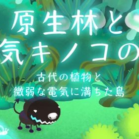 廃盤【原生林と電気キノコの島】※バラ売り | リヴリーアイランドのアイテム、RMTの販売・買取一覧