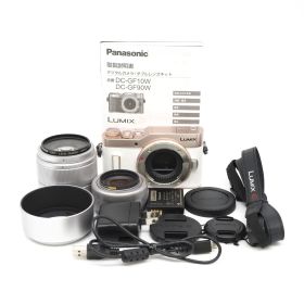 シャッター回数1690回!!フィルター、フード付き!!■極上品■ PANASONIC DC-GF10W