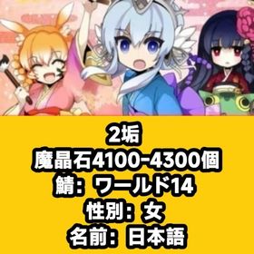 2垢 魔晶石4100-4300個 鯖：ワールド14 性別：女 名前：日本語 | 剣と魔法のログレスのアカウントデータ、RMTの販売・買取一覧