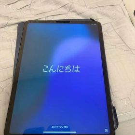 Apple iPad Pro 11インチ 第3世代 (M1) スペースグレイ