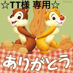 ☆TT様 専用☆ ブロックス