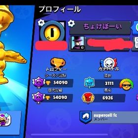 引退垢 値下げ | ブロスタ(ブロウルスターズ)のアカウントデータ、RMTの販売・買取一覧