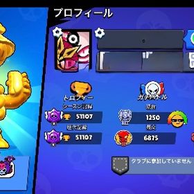 アカウント保護無し！ 総トロ5万⤴︎古参スキン ヒーロービビ有り | ブロスタ(ブロウルスターズ)のアカウントデータ、RMTの販売・買取一覧