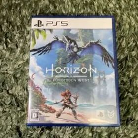 Horizon Zero Dawn 通常版