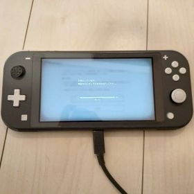 中古 Nintendo Switch Lite グレー 充電器付き