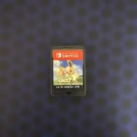 ポケットモンスター Let's Go! イーブイ 動作確認済み