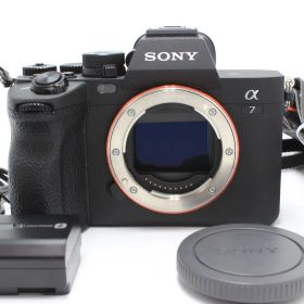 190ショット！SONY(ソニー) フルサイズ ミラーレス一眼カメラ α7IV ボディ ブラック ILCE-7M4