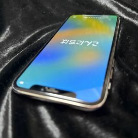 iPhoneX シルバー本体