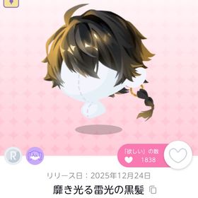 靡き光る雷光の黒髪 | ポケコロツイン(ポケツイ)のアカウントデータ、RMTの販売・買取一覧