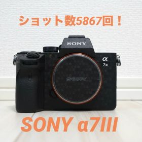 SONY α7 III デジタル一眼レフカメラ 本体 【最終価格】 α7 III 新品 125,000円 中古 99,999円 | ネット最安値の価格比較
