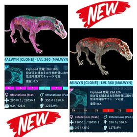 RARE SUPPORT 新恐竜マルウィン 12/26🆙 | ARK Survival Evolvedのアカウントデータ、RMTの販売・買取一覧