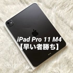 【早い者勝】iPad Pro 11インチ 第5世代 M4 256GB 【即発送】