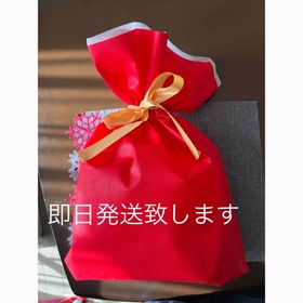 ニンテンドースイッチ(Nintendo Switch)のNintendo Switch O2 本体 日本語専用(家庭用ゲーム機本体)