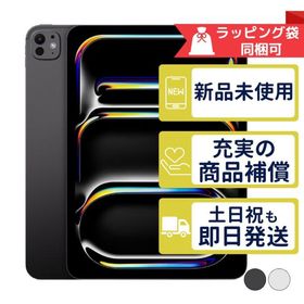 iPad Pro 11インチ M5 256GB APPLE Wi-Fiモデル 新品・未使用 本体
