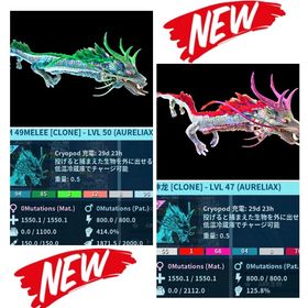 RARE SUPPORT 🆕新恐竜:オーレリアックス【DM49p】 12/27🆙 | ARK Survival Evolvedのアカウントデータ、RMTの販売・買取一覧