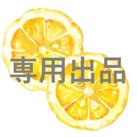 マイカ様専用🌿11.27ご注文ブラ服10着🤍 | 未来家系図 つぐmeのアカウントデータ、RMTの販売・買取一覧