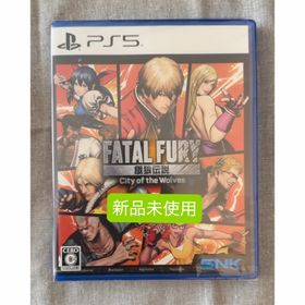 エスエヌケイ(SNK)の餓狼伝説 City of the Wolves SPECIAL EDITION(家庭用ゲームソフト)